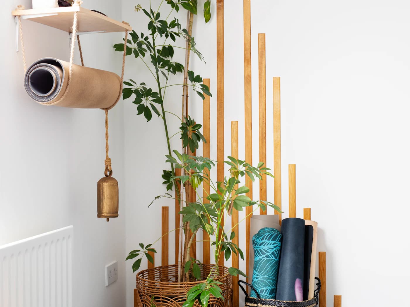 Illustrative photograph of yoga equipment and indoor plants